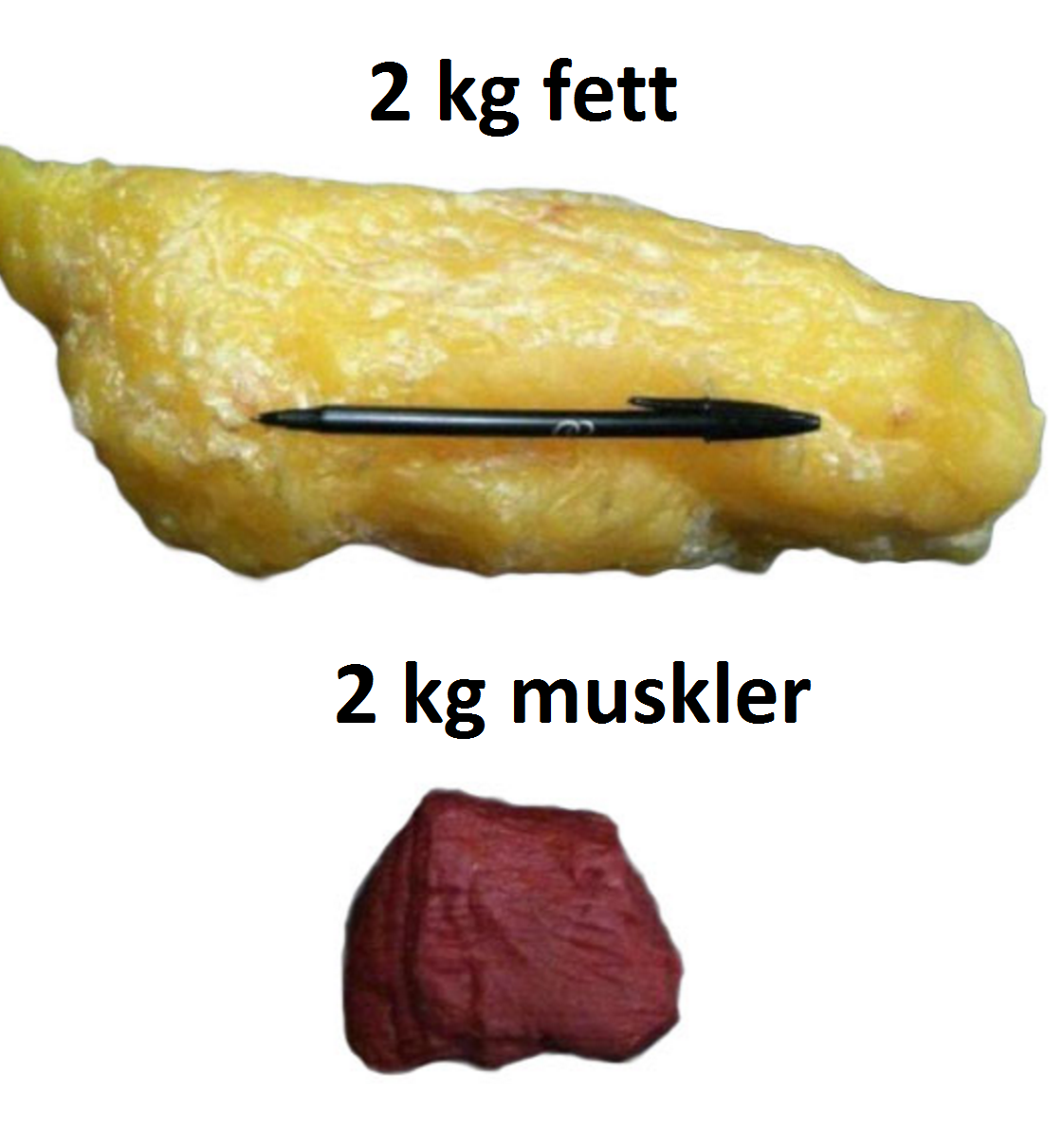 Sant att muskler väger mer än fett