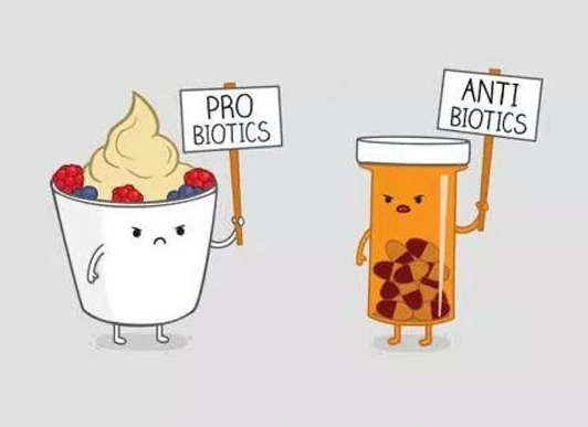 Probiotika tabletter samtidigt med antibiotika penicillin