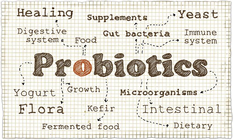 probiotika receptbok förklaringar