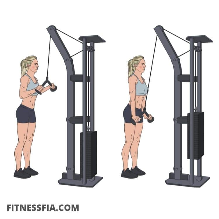 Pushdowns triceps övning gymmet med kabel maskin