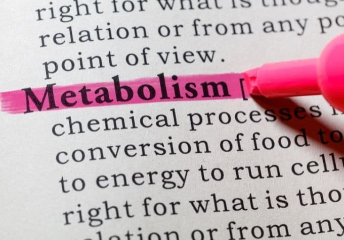Metabolism periodisk fasta viktnedgång keto lchf